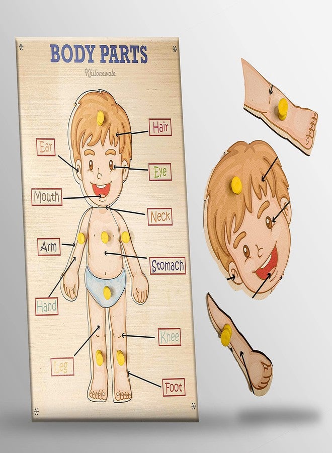 Khilonewale Wooden Parts of Body Tray with Knob Puzzle Toy for Children, Educational Board and Learning Toy for Kids - Multi Color - Image 2