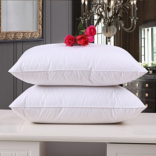 Clasiko Microfiber Cushion Filler 12 x 12 Inches Set of 4 | Suitable for Sofa, Bed & Floor - Image 5
