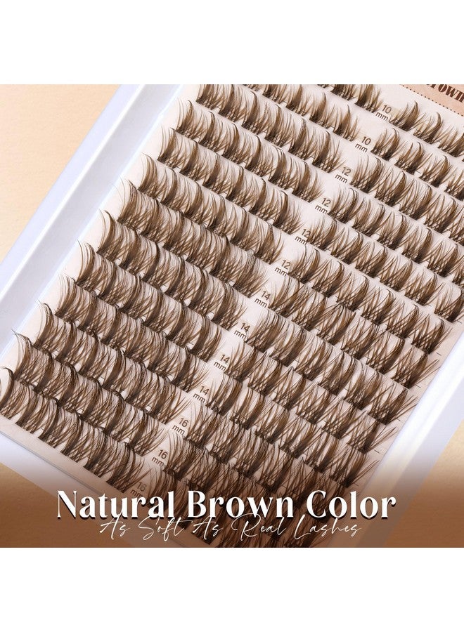 نيو كولي رموش Uster Lashes Wispy Eyelash Cluters Spiky Brown Lash Extension ذات المظهر الطبيعي Cd Curl Cluster Eyelash Extension بطول 10-16 مم رموش فردية من Newcally - Image 1