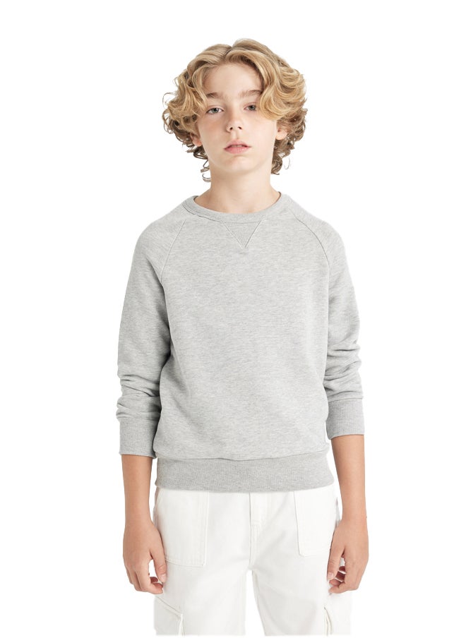 DeFacto Boy Regular Fit Crew Neck Long Sleeve Knitted Sweat Shirt  - Image 4