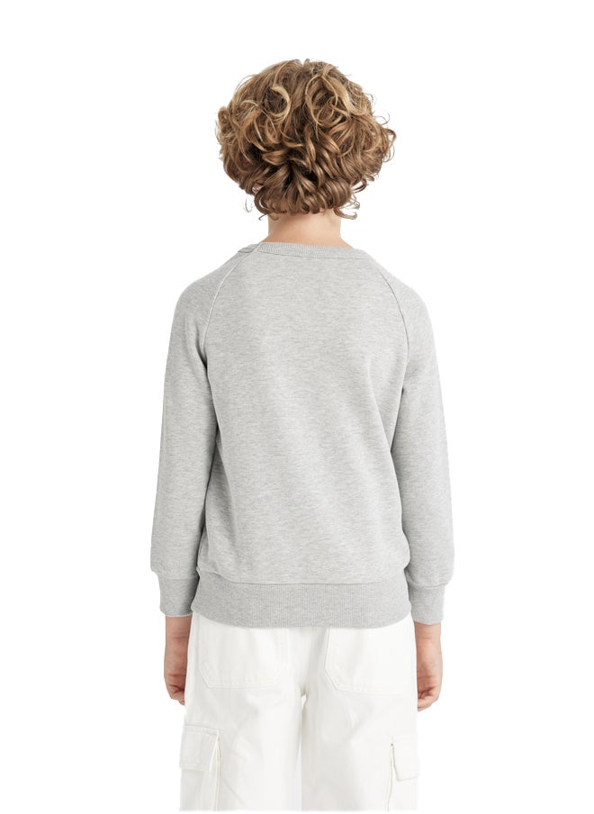 Boy Regular Fit Crew Neck Long Sleeve Knitted Sweat Shirt - pzsku/ZA8F0B414F3EDF846914EZ/45/_/1735653293/9cf65dc8-051d-4fbe-9d5f-de873edcaf9c