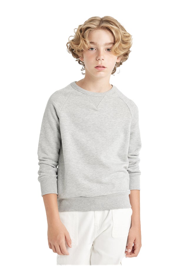 DeFacto Boy Regular Fit Crew Neck Long Sleeve Knitted Sweat Shirt  - Image 5