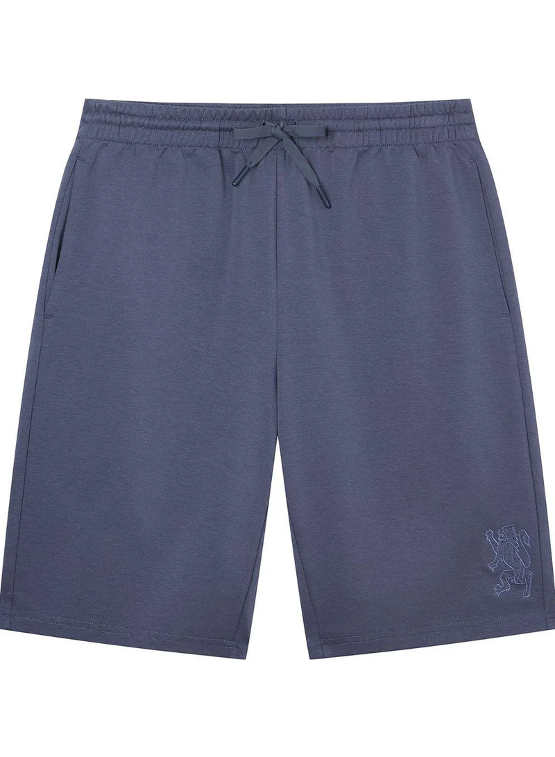 Men Regular Interlock Embroidery Shorts