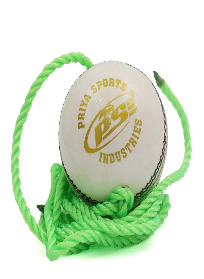 PSE Priya Sports Leather Match Practice Hanging Cricket Ball White Pack of 6 - Image 1