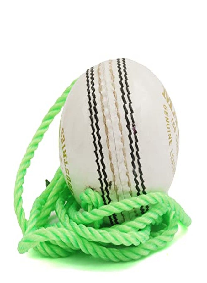 PSE Priya Sports Leather Match Practice Hanging Cricket Ball White Pack of 6 - Image 4