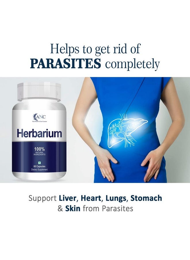 ANC Herbarium 500Mg Support Supplements To Protects Liver, Heart, Lungs, Stomach & Skin From Parasites For Men & Women 60 Capsules (Pack Of 1)  - Image 4
