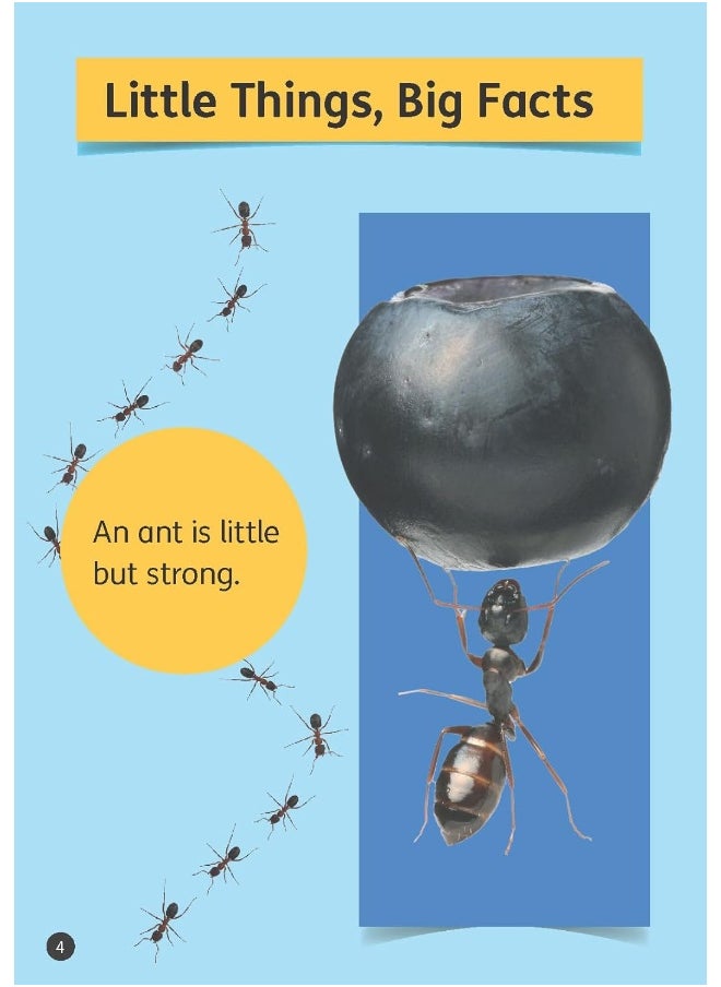 null - Big Facts Book (Set 07) - Image 1