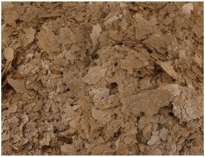 FISHSCIENCE طعام رقائق سمك الزينة من فيش ساينس - 20 جرام - Image 3