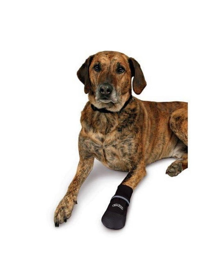 تريكسي أحذية حماية مريحة للكلاب من Walker Care (كبيرة) - Image 4