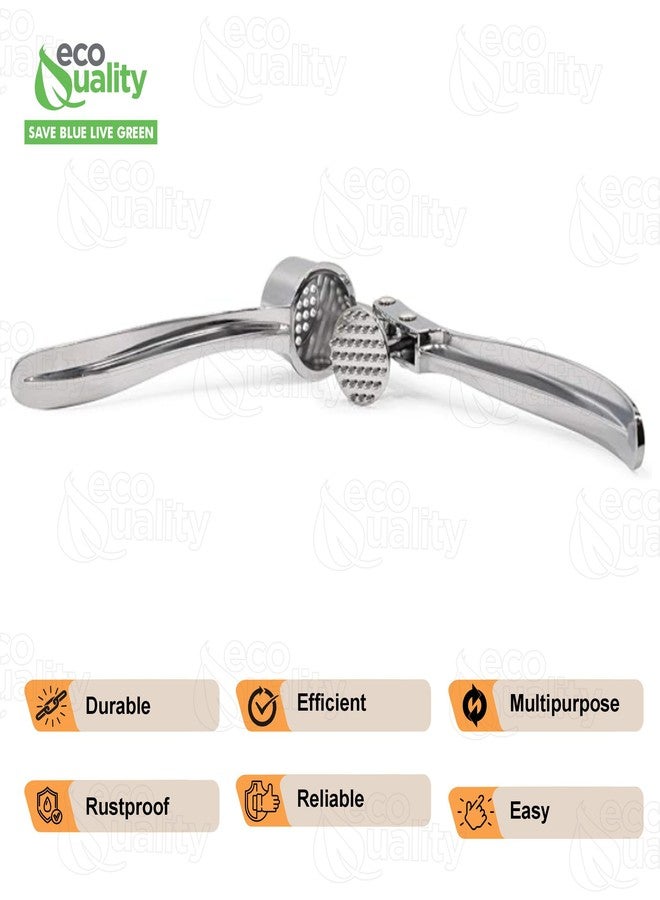 EcoQuality [1 PACK] Stainless Steel Garlic Press - Professional Kitchen Garlic Crusher - Easy Squeeze, Dishwasher safe - Cooking Utensils, Clove Press and Ginger Mincer - Image 2