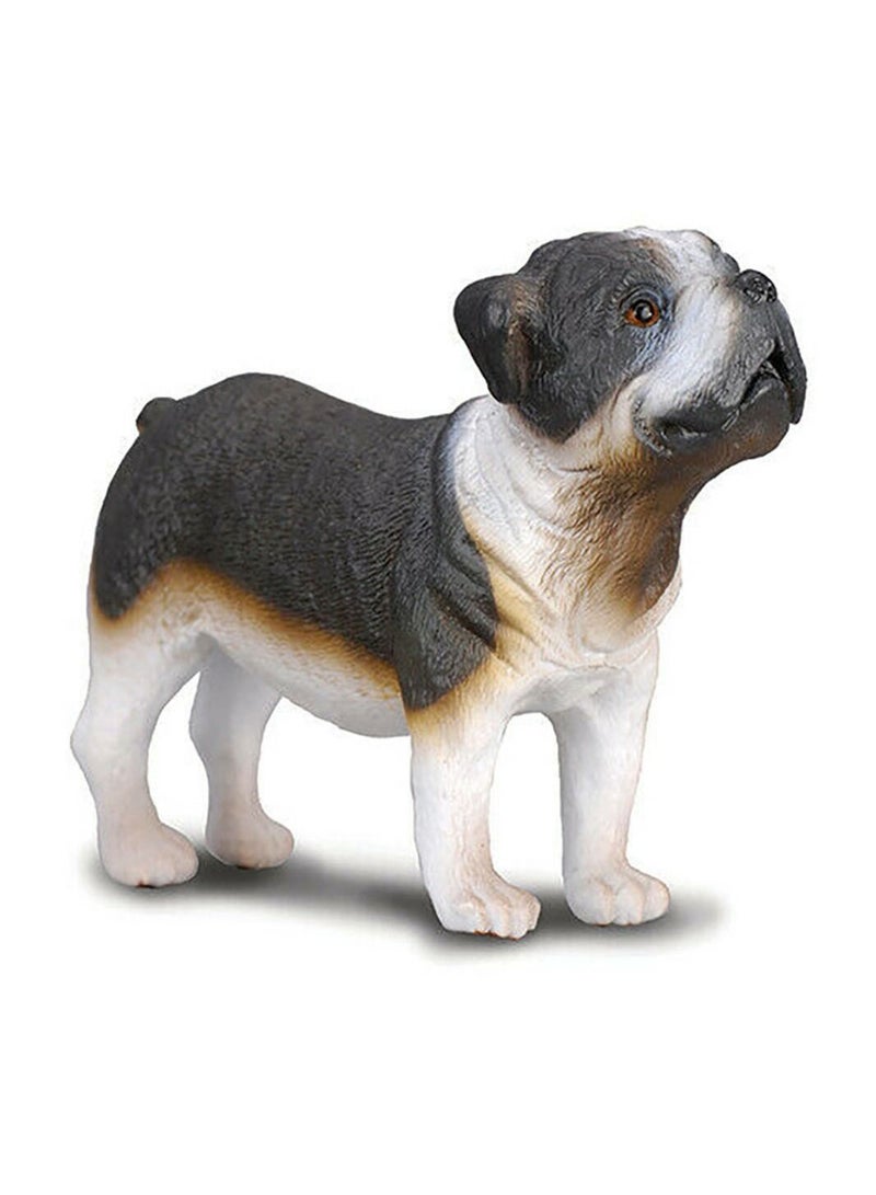 Collecta - Bull Dog - 88179 - Image 1