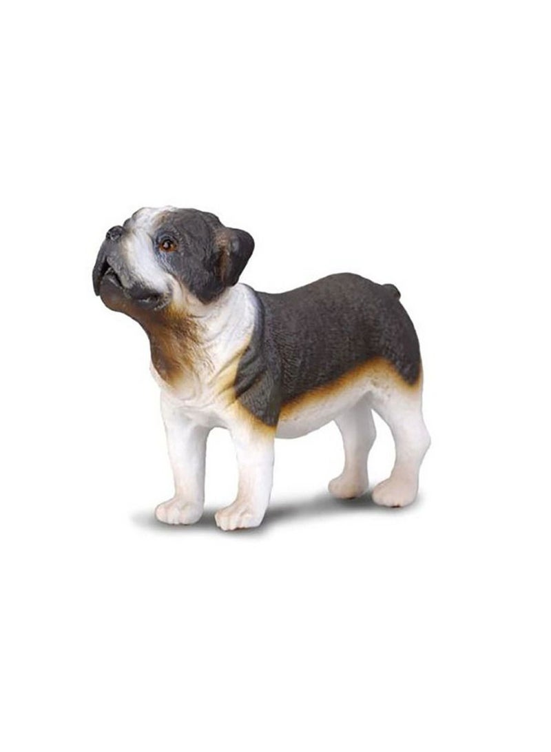 Collecta - Bull Dog - 88179 - Image 2