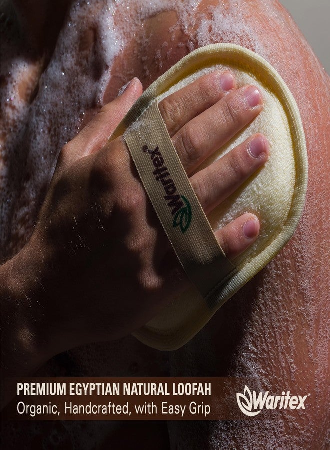 Waritex Egyptian Loofah Exfoliating Body Scrubber with Hand Strap, Oval Shower Pads Made from Natural Egyptian Loofah Fibers, Gentle Cleansing for Face and Body, for Men and Women 3 Count (1 Pack) - Image 5