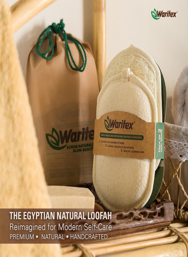 Waritex Egyptian Loofah Exfoliating Body Scrubber with Hand Strap, Oval Shower Pads Made from Natural Egyptian Loofah Fibers, Gentle Cleansing for Face and Body, for Men and Women 3 Count (1 Pack) - Image 4