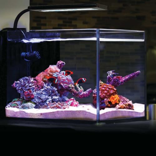 CURRENT Orbit Marine NANO LED 16 Watt Reef LED Saltwater Marine Aquarium Coral Light with Dimming, Moonlight, Cloud Cover & Lighting Storm Clip On Small Fish Tank w/Mounting Bracket (4095) - Image 1