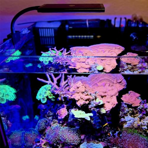 CURRENT Orbit Marine NANO LED 16 Watt Reef LED Saltwater Marine Aquarium Coral Light with Dimming, Moonlight, Cloud Cover & Lighting Storm Clip On Small Fish Tank w/Mounting Bracket (4095) - Image 2