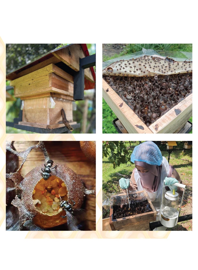 Bayu Kelulut Stingless Bee Honey, 700 Gm, 100% Pure
