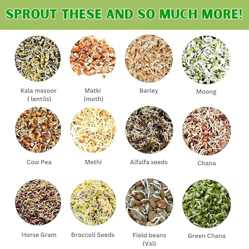 VIKIJO Sprout Maker Multi Use Sprouts Maker jars - 720 ML Glass Mason Jar with Mesh Lid for All Seeds & Beans, Sprouts Making jar with e-book - Image 5