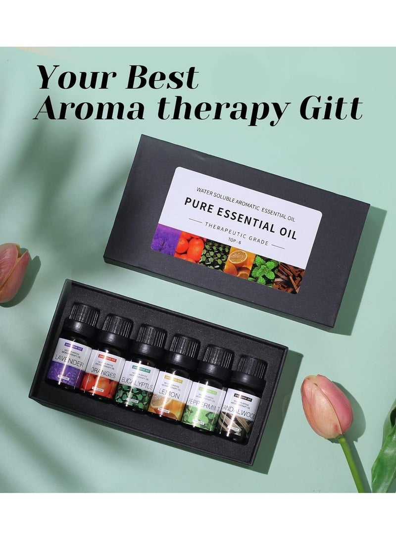 ELTRAZONE Essential Oils Set Top 12 Blends For Diffusers, Home Care, Candle Making Scents, Fragrance, Aromatherapy, Humidifiers Lavender, Oranges, Eucalyptus, Lemon, Peppermint & Sandalwood 10ML Each Bottle - Image 2