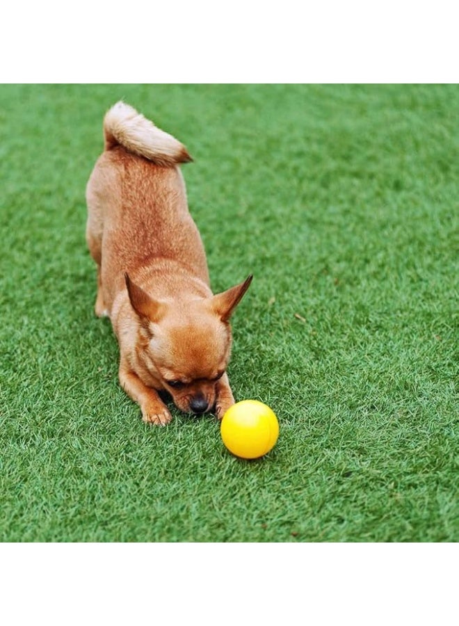 Realistic Artificial Grass Turf - Soft, Durable, and UV-Resistant for Outdoor Use 2 X 5 - Image 4