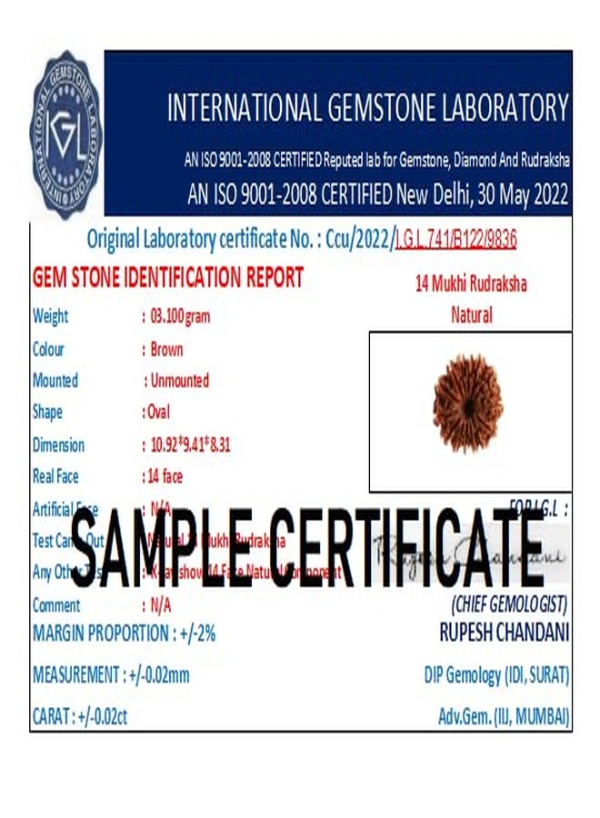 خرز رودراكشا المعتمد من SreeGems 14 मुकी रुगी रुग्राक्ष ओरिगिनल مع غطاء فضي أربعة عشر موكي رودراكشا أصلي مبارك مع لورد شيفا 14 موكي رودراكشا نيبالي - Image 5