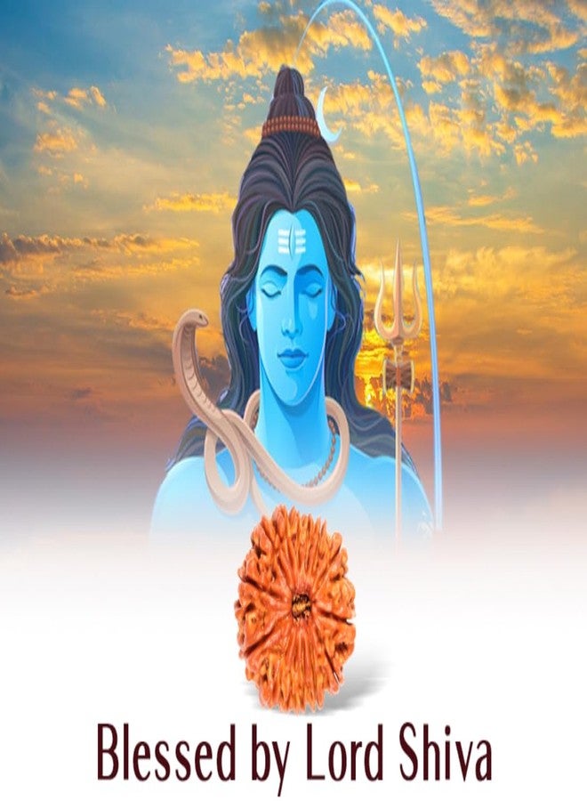 خرز رودراكشا المعتمد من SreeGems 14 मुकी रुगी रुग्राक्ष ओरिगिनल مع غطاء فضي أربعة عشر موكي رودراكشا أصلي مبارك مع لورد شيفا 14 موكي رودراكشا نيبالي - Image 4