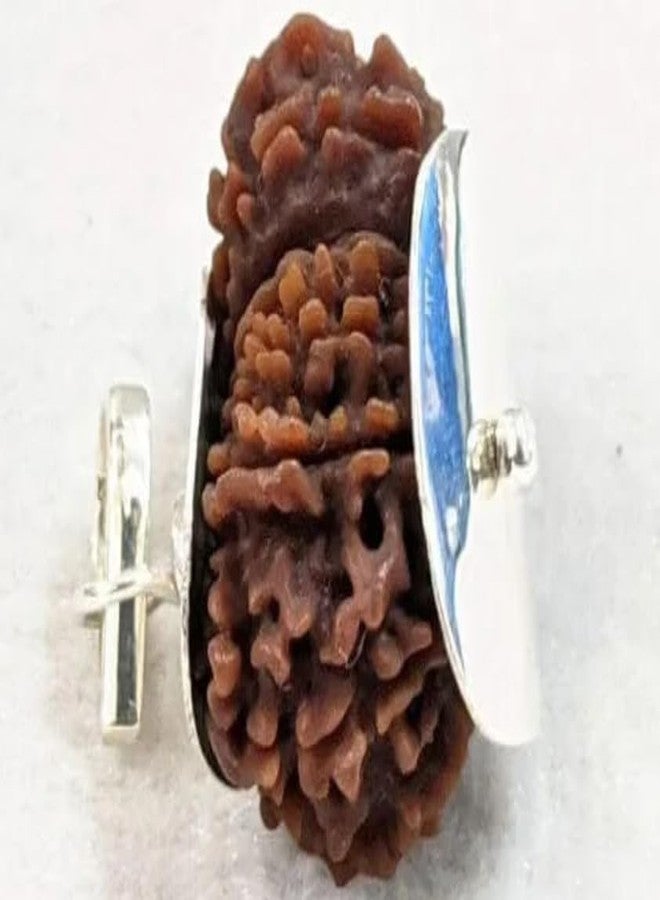 خرز رودراكشا المعتمد من SreeGems 14 मुकी रुगी रुग्राक्ष ओरिगिनल مع غطاء فضي أربعة عشر موكي رودراكشا أصلي مبارك مع لورد شيفا 14 موكي رودراكشا نيبالي - Image 3