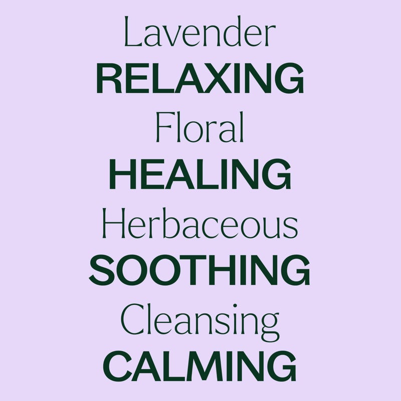 Plant Therapy Lavender Essential Oil 100% Pure, Undiluted, Natural Aromatherapy, Therapeutic Grade 100 mL (3.3 oz) - Image 4