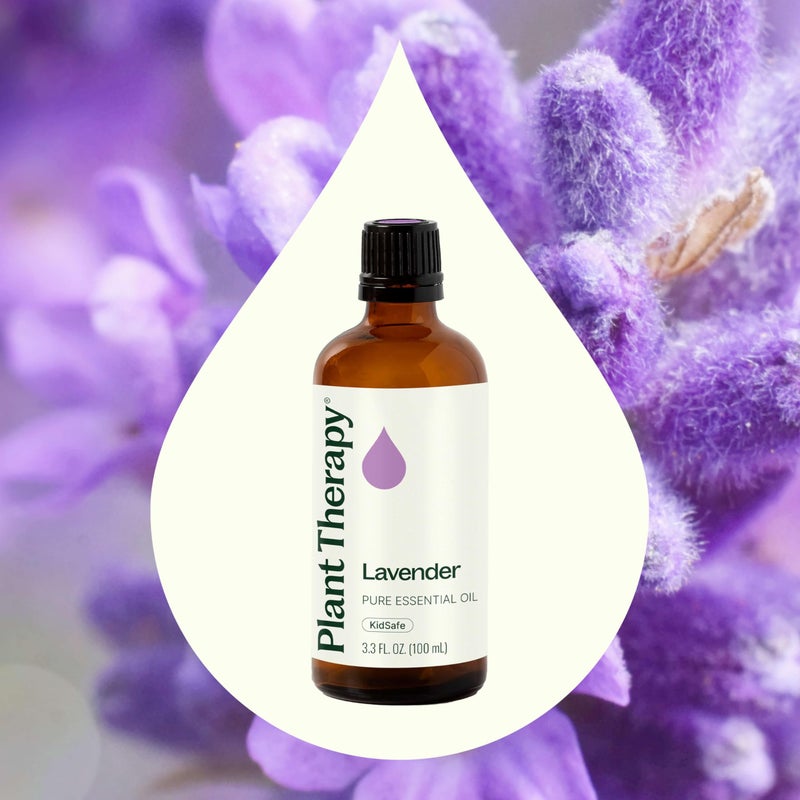 Plant Therapy Lavender Essential Oil 100% Pure, Undiluted, Natural Aromatherapy, Therapeutic Grade 100 mL (3.3 oz) - Image 3