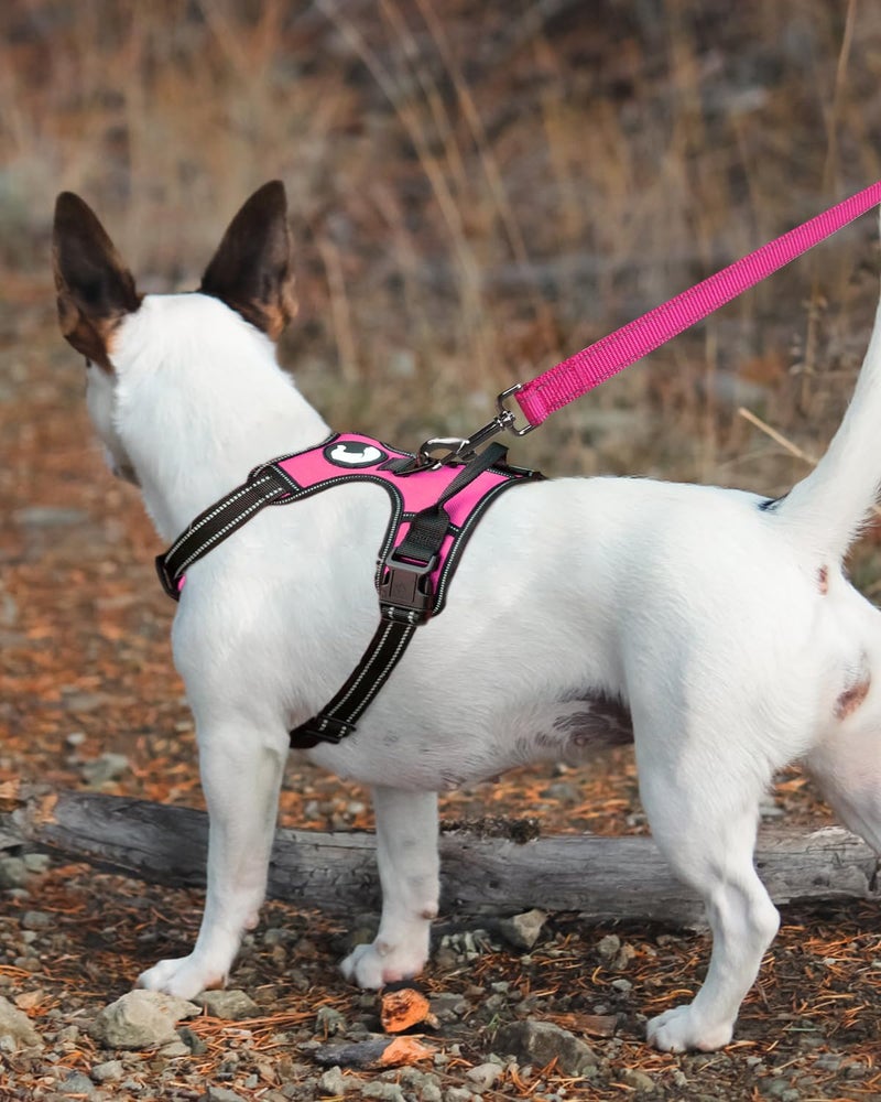 Joytale Dog Leash, 6 FT Double-Sided Reflective, Padded Handle Nylon Heavy Duty Leashes for Medium & Large Dogs Walking, Hotpink - Image 3