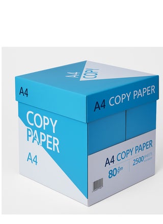 A4 Copy Paper 80gsm – 2500 Sheets – Blue Carton Box - pzsku/ZA8FE7DC341C7178309A2Z/45/1745923510/4d939d7d-8bf1-4cf1-905b-dfe8a3fb8292