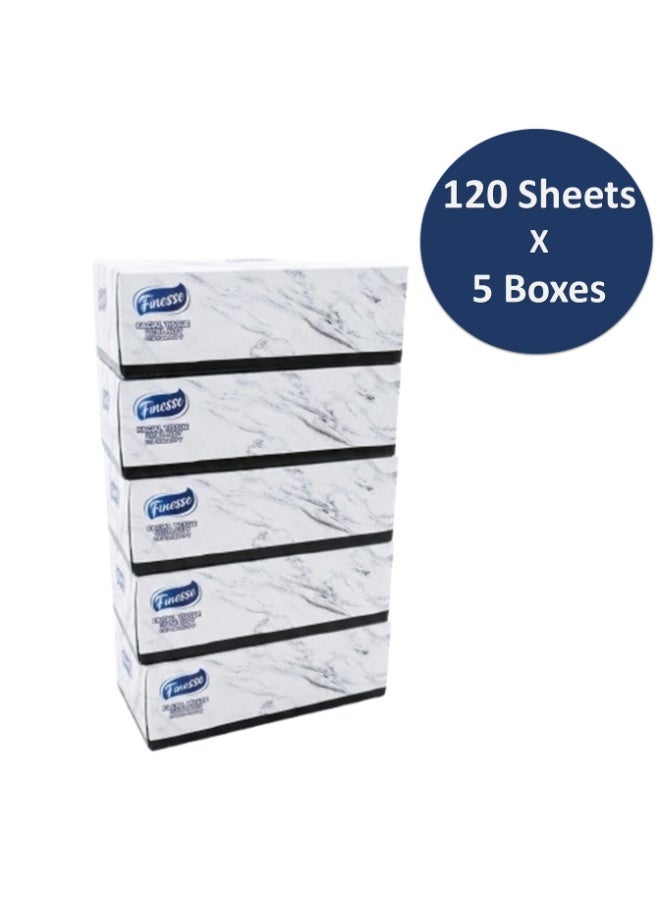 Finesse Daily Care Facial Tissue - Pack of 5 Boxes 120 sheets x 2 Ply