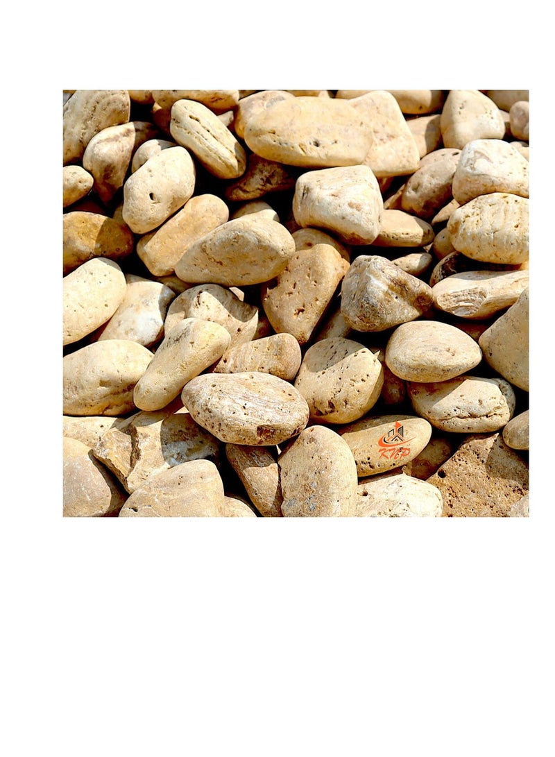 KNP Yellow Forest River Stone Natural Garden Material 1-2 cm 10 kg - Image 3