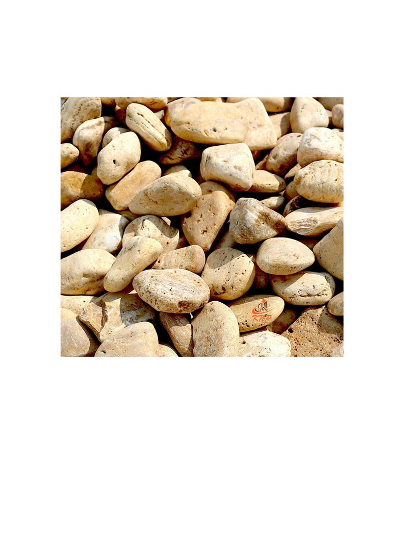 KNP Yellow Forest River Stone Natural Garden Material 1-2 cm 10 kg - Image 1