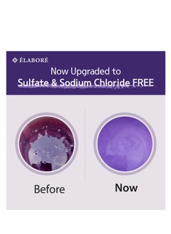 Elabore Elabore Acai Berry Super Hair Pack & (Sulfate Free) Shampoo Set 33.80fl.oz/ 1000ml  - Image 2