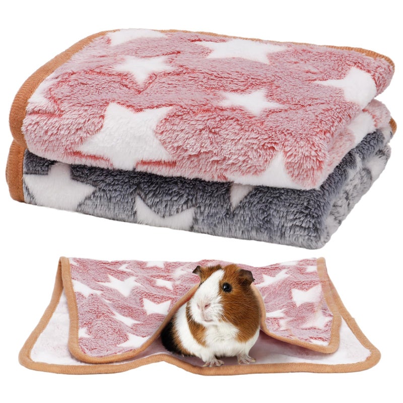 Alphatool Guinea Pig Blanket, 2 Pack Warm Soft Coral Fleece Small Animal Blankets Washable Pet Cage Liners Sleep Mat Pad Cover for Rabbit Hamster Dog Cat Ferret Chinchilla Hedgehog Bedding, 24" x 16" - Image 1