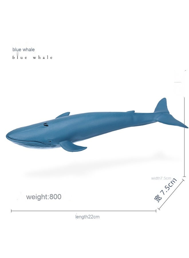 NIBEMINENT Realistic Ocean Creature Models - Shark and Blue Whale Toys