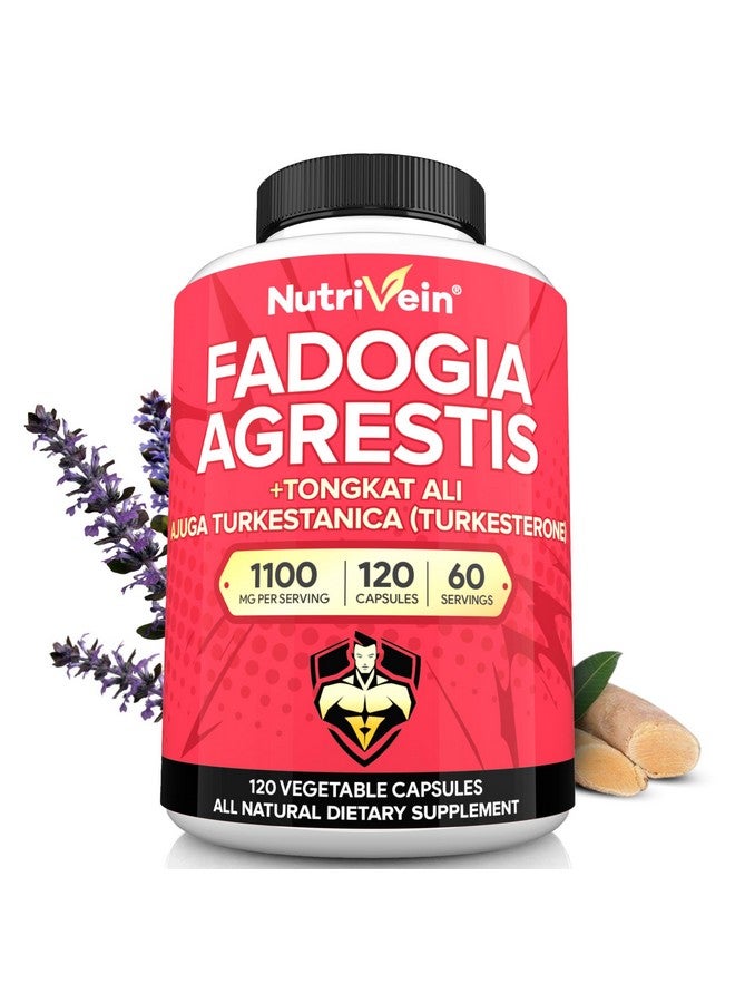 Nutrivein Nutrivein Fadogia Agrestis with Tongkat Ali & Turkesterone Supplement 1100mg - Premium Blend for Optimal Performance, Strength and Workout Recovery - Image 1