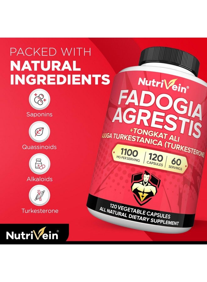 Nutrivein Nutrivein Fadogia Agrestis with Tongkat Ali & Turkesterone Supplement 1100mg - Premium Blend for Optimal Performance, Strength and Workout Recovery - Image 3