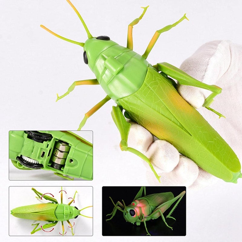 klarako RC Grasshopper party Supplies Remote Control Animal Toy for Children - Image 5