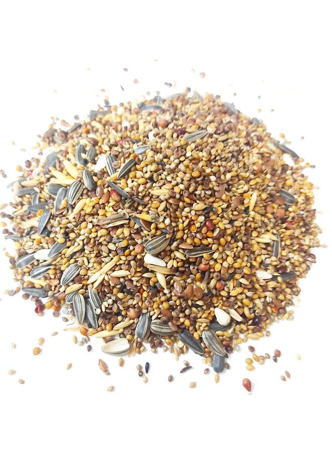 MASHKI Seed Mix For Cocktiel&African Lovebirds/15 Ingredients/Perfect Blended Nutrients Nuts, Oats Dry Adult, Senior, Young Bird Food (5 Kg), 1 Count  - Image 2