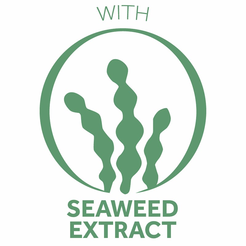 Pond's Crema S Nourishing Face Moisturizer for Women, Skin Care Facial Moisturizer Cream for Dry to Very Dry Skin, Nourishes for up to 24 hours 14.1 oz (Pack of 2) - Image 2