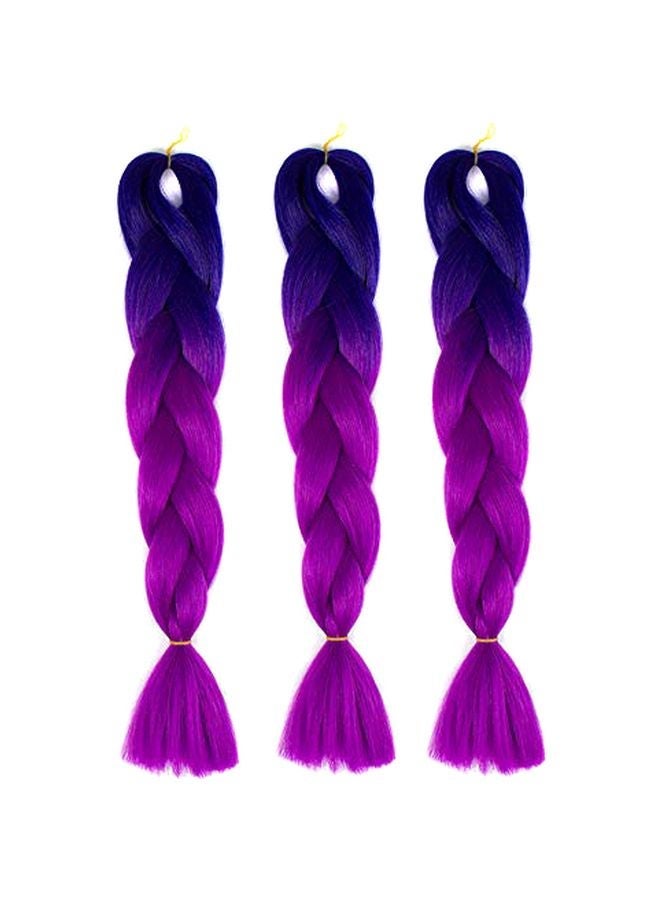 NIBEMINENT 3-Piece Two-Tone Braided Hair Extension Set Blue/Purple 24inch