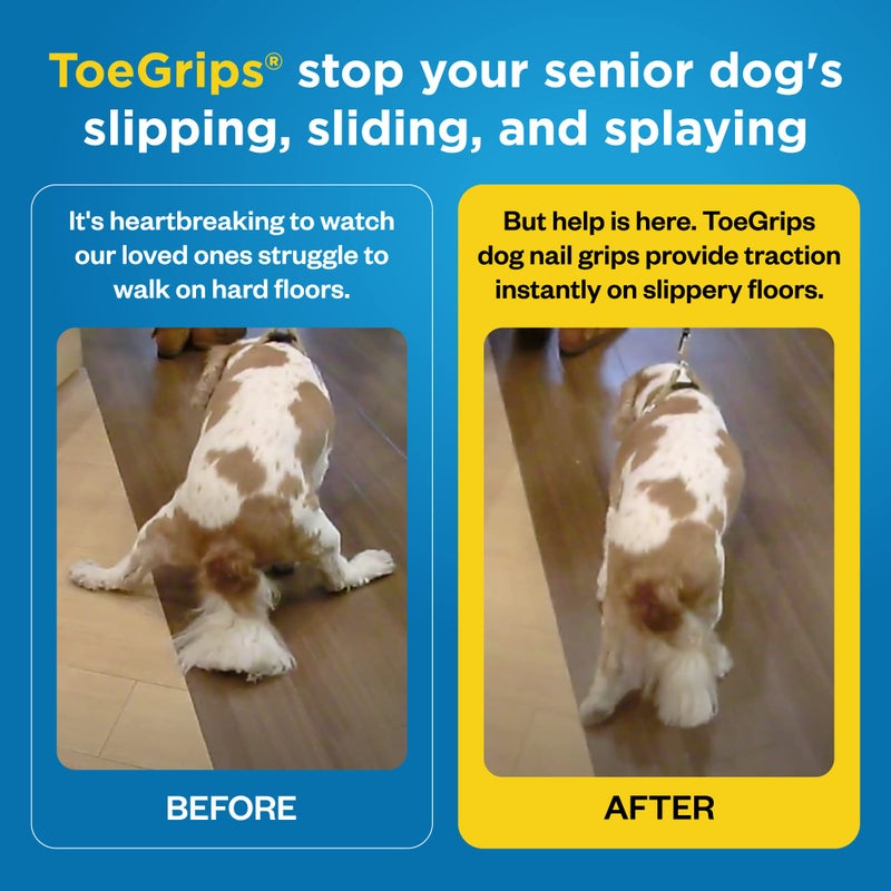 Dr. Buzby's Dr Buzby's Large ToeGrips for Dogs - Instant Traction on Wood/Hardwood Floors - Anti Slip Relief - Grippers for Senior Dogs - Stop Sliding Instantly - Rubber Nails for Paws - 1 Pack (20 Grips) - Image 2