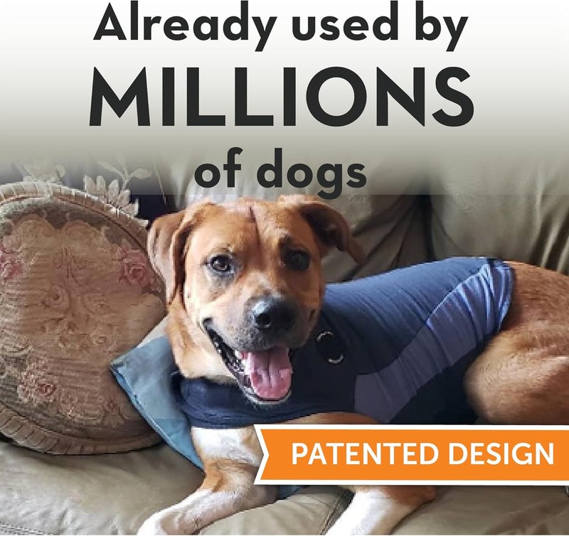 ThunderShirt for Dogs, XX Small, Blue Polo - Calming Vest for Dog Anxiety Relief - Image 2