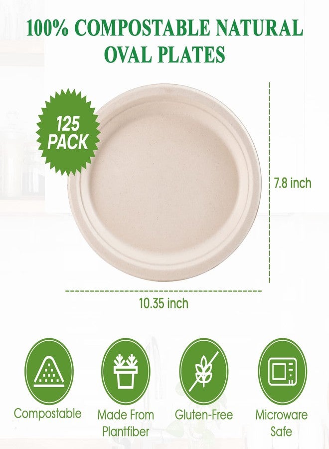 Vplus 100% Compostable Oval Paper Plates 10 inch 125 Pack Super Strong Disposable Paper Plates Bagasse Natural Biodegradable Eco-Friendly Sugarcane for BBQ, Party, Gathering, and Picnic - Image 5