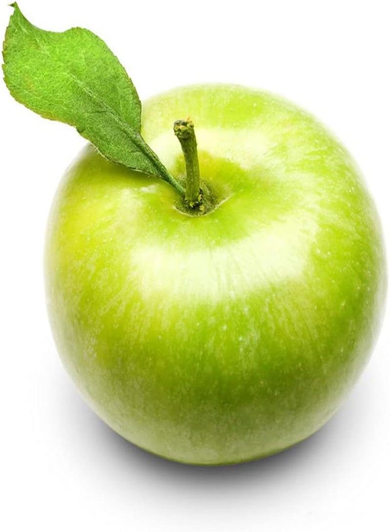 جي جوت 100 قطعة من بذور التفاح، فاكهة سماوية، بذور تراثية غير معدلة وراثيًا، للزراعة في الأماكن المغلقة والمفتوحة، استمتع بفرحة الحصاد، شجرة زينة مزخرفة - Image 2