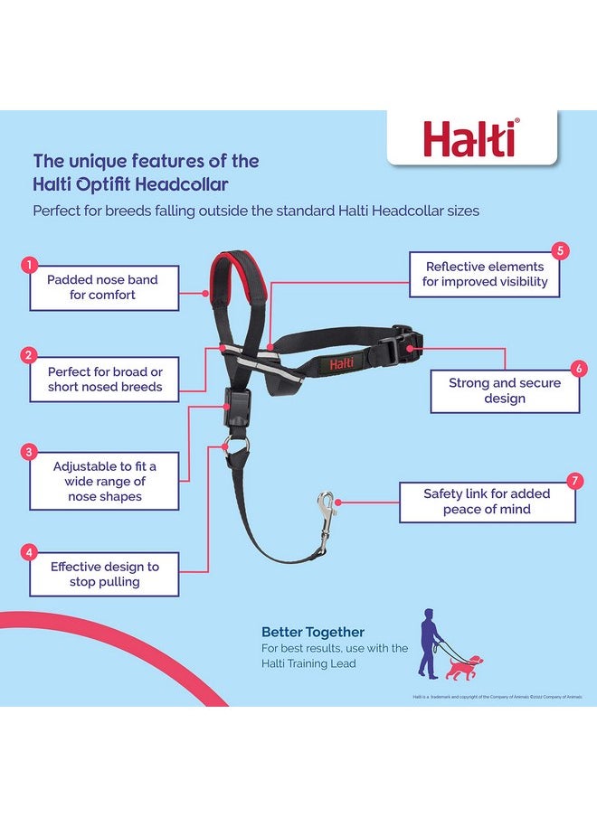 ذا كومباني أوف أنيمالز طوق رأس HALTI Optifit - لمنع كلبك من شد المقود. قابل للتعديل، وعاكس للضوء وخفيف الوزن، مع شريط أنف مبطن. طوق تدريب مضاد للشد للكلاب متوسطة الحجم (الحجم المتوسط)  - Image 2