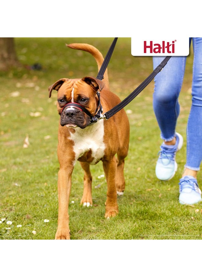 ذا كومباني أوف أنيمالز طوق رأس HALTI Optifit - لمنع كلبك من شد المقود. قابل للتعديل، وعاكس للضوء وخفيف الوزن، مع شريط أنف مبطن. طوق تدريب مضاد للشد للكلاب متوسطة الحجم (الحجم المتوسط)  - Image 4