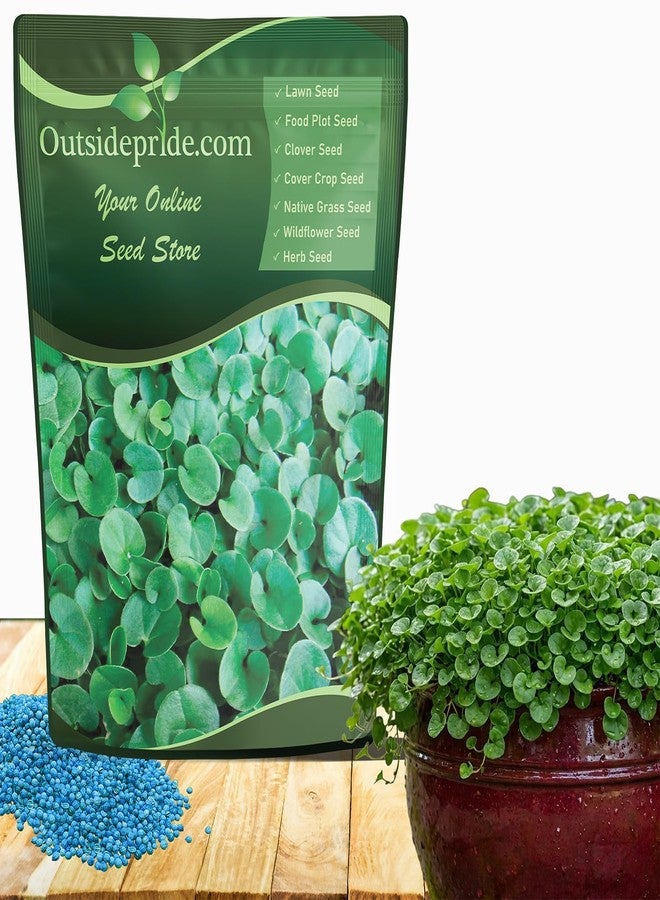 Outsidepride Perennial Dichondra Repens Seeds - 2 lbs Dense Green, Low-Maintenance Ground Cover Seeds for Planting, Ideal Lawn Alternative in Sun or Shady Areas & Erosion Control in USDA Zones 8-11 - Image 1